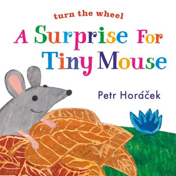 A Surprise for Tiny Mouse - MPHOnline.com