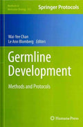 Germline Development - MPHOnline.com