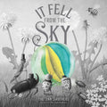 It Fell from the Sky - MPHOnline.com