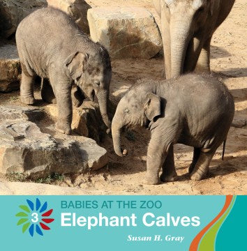 Elephant Calves - MPHOnline.com