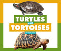 Turtles and Tortoises - MPHOnline.com