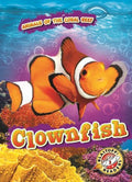 Clownfish - MPHOnline.com