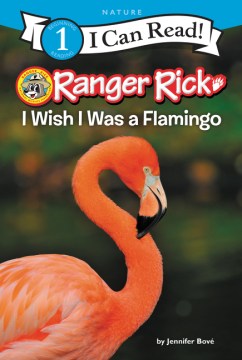 I Wish I Was a Flamingo - MPHOnline.com