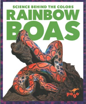 Rainbow Boas - MPHOnline.com