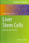 Liver Stem Cells - MPHOnline.com