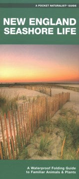 New England Seashore Life - MPHOnline.com