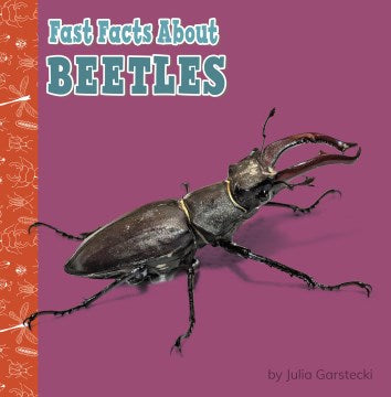 Fast Facts About Beetles - MPHOnline.com