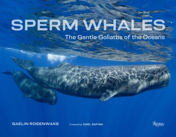 Sperm Whales - MPHOnline.com