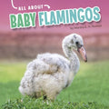 All About Baby Flamingos - MPHOnline.com