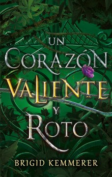 Un coraz?n valiente y roto / Heart So Fierce and Broken - MPHOnline.com