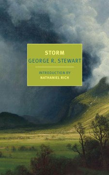 Storm (Paperback) - MPHOnline.com