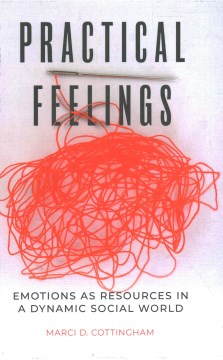 Practical Feelings - MPHOnline.com