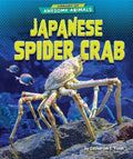 Japanese Spider Crab - MPHOnline.com