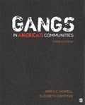 Gangs in America's Communities - MPHOnline.com