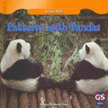 Patterns With Pandas - MPHOnline.com