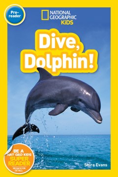 Dive, Dolphin - MPHOnline.com