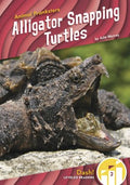 Alligator Snapping Turtles - MPHOnline.com