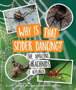 Why Is That Spider Dancing? - MPHOnline.com