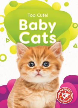 Baby Cats - MPHOnline.com