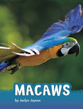 Macaws - MPHOnline.com