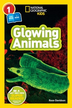 Glowing Animals - MPHOnline.com