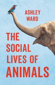 The Social Lives of Animals - MPHOnline.com