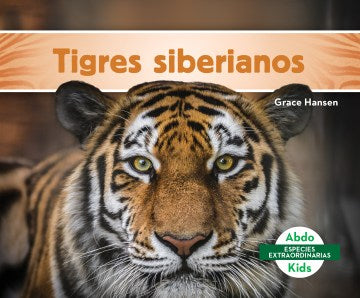 Tigres siberianos / Siberian Tigers - MPHOnline.com