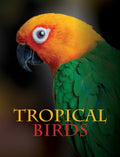 Tropical Birds - MPHOnline.com