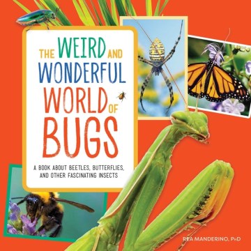 The Weird and Wonderful World of Bugs - MPHOnline.com