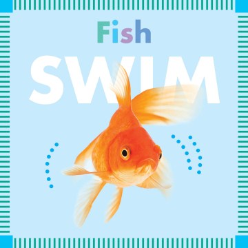 Fish Swim - MPHOnline.com