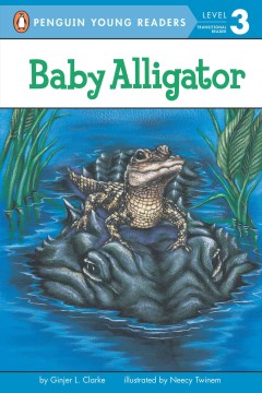 Baby Alligator - MPHOnline.com