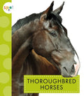 Thoroughbred Horses - MPHOnline.com