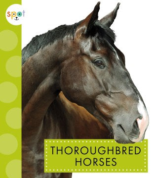 Thoroughbred Horses - MPHOnline.com