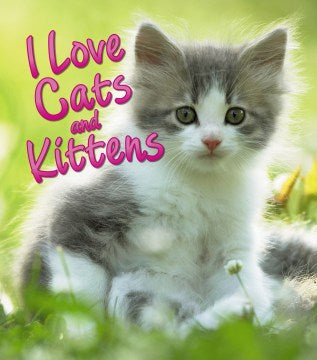 I Love Cats and Kittens - MPHOnline.com