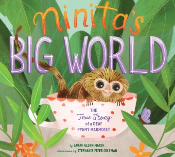 Ninita's Big World - MPHOnline.com