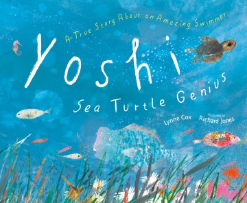 Yoshi, Sea Turtle Genius - MPHOnline.com