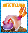 Sea Slugs - MPHOnline.com