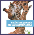 Crias de jirafa en la naturaleza / Giraffe Calves in the Wild - MPHOnline.com