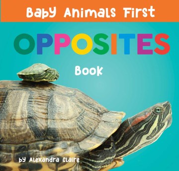 Baby Animals First Opposites Book - MPHOnline.com