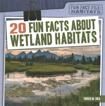 20 Fun Facts About Wetland Habitats - MPHOnline.com