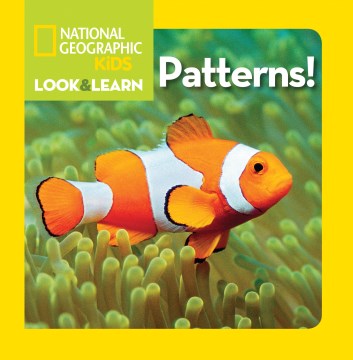 Little Kids Look & Learn Patterns! (National Geographic) - MPHOnline.com