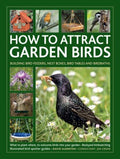 How to Attract Garden Birds - MPHOnline.com