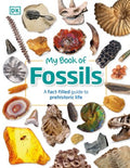 My Book of Fossils - MPHOnline.com