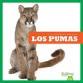 Los pumas / Cougars - MPHOnline.com