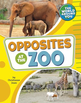 Opposites at the Zoo - MPHOnline.com