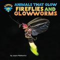 Fireflies and Glowworms - MPHOnline.com