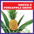 Watch a Pineapple Grow - MPHOnline.com