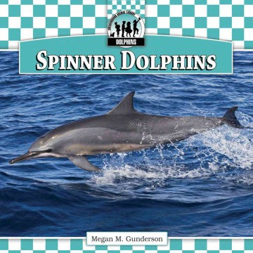 Spinner Dolphins - MPHOnline.com