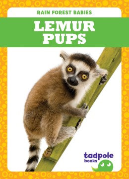 Lemur Pups - MPHOnline.com