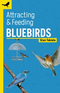 Attracting & Feeding Bluebirds - MPHOnline.com